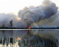 State of emergency declared as bushfires rage in Australia