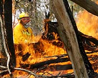 Residents flee as deadly Australian wildfires flare