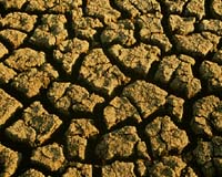 Southern Australia wilts as worst heatwave in a century hits