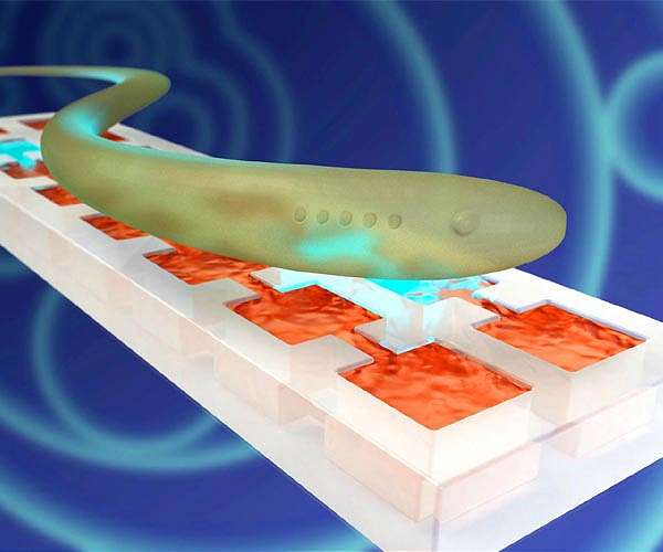 Programmable Soft Robotics Advance via Dynamic Molecular Assembly