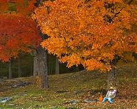 Research suggests autumn is ending later in the northern hemisphere