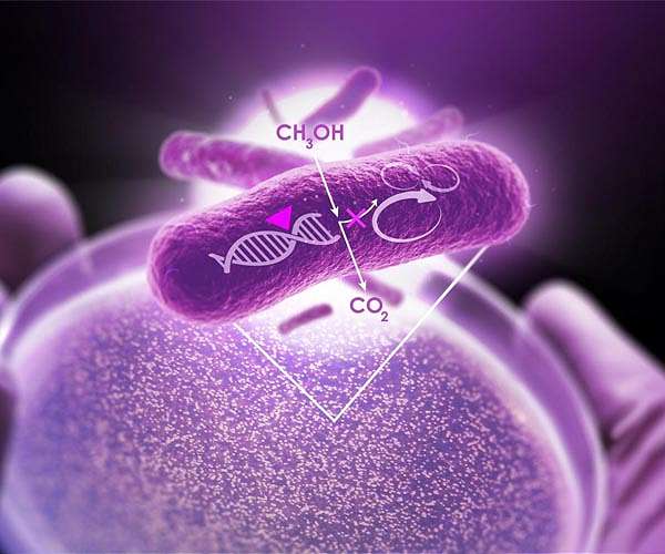 Turning CO2 into Methanol at Room Temperature