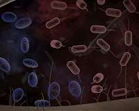 How miniature predators get their favorite soil bacteria