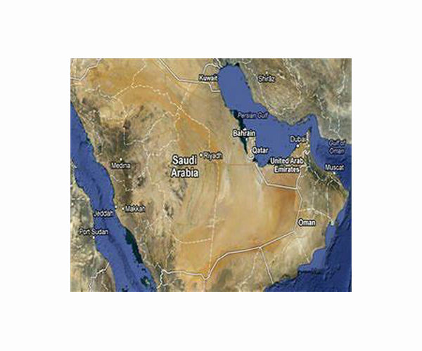 U.S. Army, UAE armored divisions conclude Iron Union 14 exercise