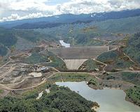 Planned roads would be 'dagger in the heart' for Borneo's forests and wildlife