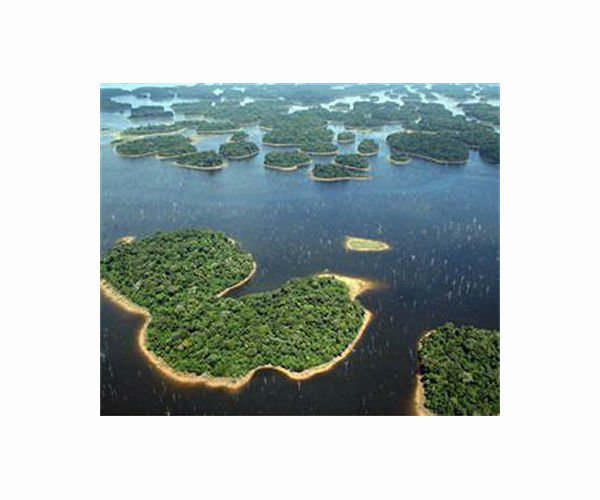 Trees are biggest methane 'vents' in wetland areas - even when they're dry