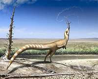 Bandit-masked feathered dinosaur hid from predators using multiple types of camouflage