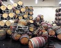 Climate change offers sparkling prospects to English winemakers