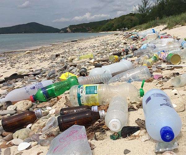 Plastic pollution is scourge of English coastal region