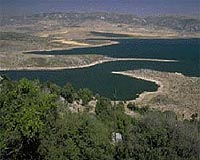 Migratory birds face peril in Lebanon sanctuary