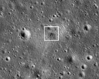 Hordes of Earth's toughest creatures may now be living on Moon