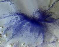 Bernese Mars Camera CaSSIS Returns Spectacular Images