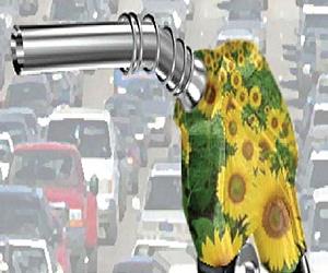 Congress Asked To Maintain Biofuel Support Via Tax And Legislation