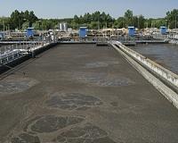 Scientists suggest fertilizing crops with sewage sludge