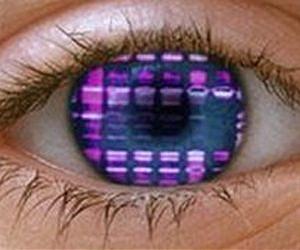 Can a Machine Tell When You're Lying