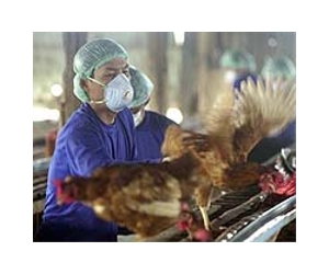 Hundreds monitored in Taiwan after bird flu case