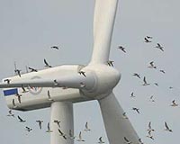 Protecting Birds And Bats From Wind Turbines