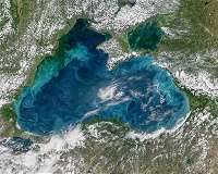NATO's standing maritime group arrives for exercises in Black Sea