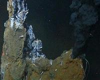 Scientists solve deep ocean carbon riddle