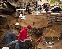 Humans evolved by sharing technology and culture