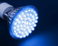 New tool will help protect animals from harmful hues of transport lights