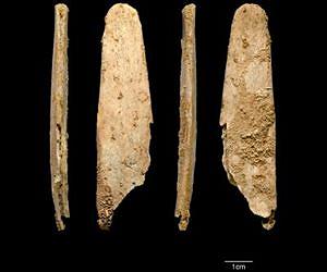 Neandertals made the first specialized bone tools in Europe