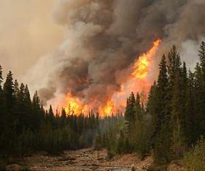 Wildfires kill 339,000 people per year: study