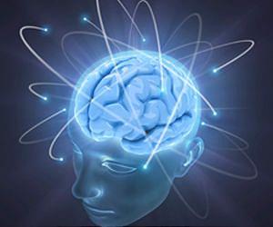 Handful of genetic changes led to huge changes to human brain