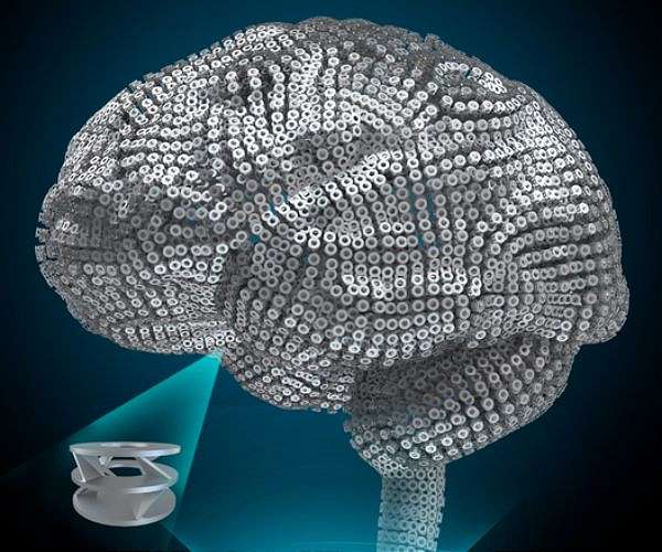 The brain power behind sustainable AI