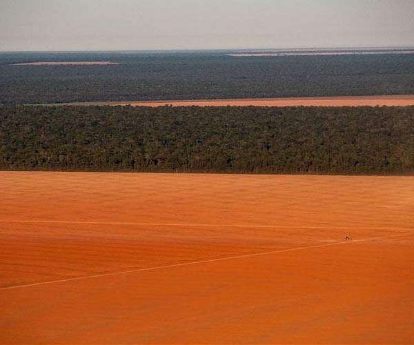In Brazil town turning to desert, farmers fight to hang on