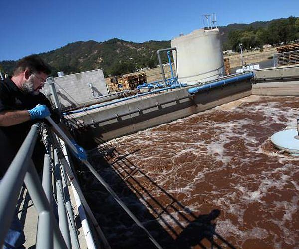 Can pee help feed the world?
