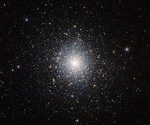 A Jumble of Exotic Stars