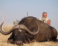 Humans get in the way of mammal movement
