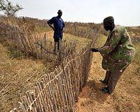 Top African producer bans GM cotton