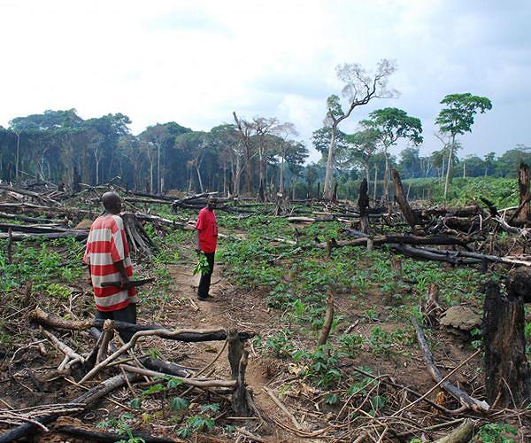 Attack on DR Congo park ranger kills one, injures three