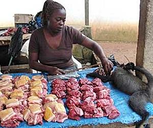 French customs agents seize bush meat