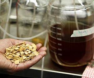 Chemicals and biofuel from wood biomass