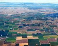 Field experiment finds a simple change that could boost agricultural productivity