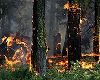 Hundreds Of Homes Destroyed As Fire Rages In California