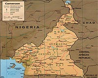 Six arrested in Cameroon over Chinese worker abductions