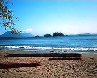 More than 87 miles of oiled Calif. beaches cleared