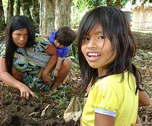 New study reports rise in community land rights in tropical forests; most laws unenforced