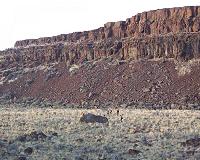 New source of global nitrogen discovered