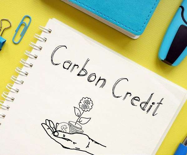 Carbon credits 'ineffective', says corporate climate watchdog