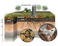 WSU researcher sees huge carbon sink in soil minerals