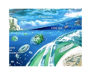Ecosystems Under Threat From Ocean Acidification