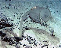 Scientific Sub Makes Deep-Sea Discoveries