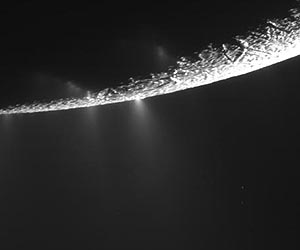 Is it Snowing Microbes on Enceladus?