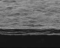 Graphene is both transparent and opaque to radiation