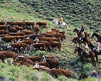Argentina issues agricultural emergency due to drought